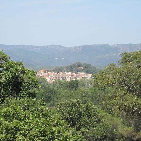 Apartment Les Cascadelles-13 By Interhome Cogolin Dış mekan fotoğraf